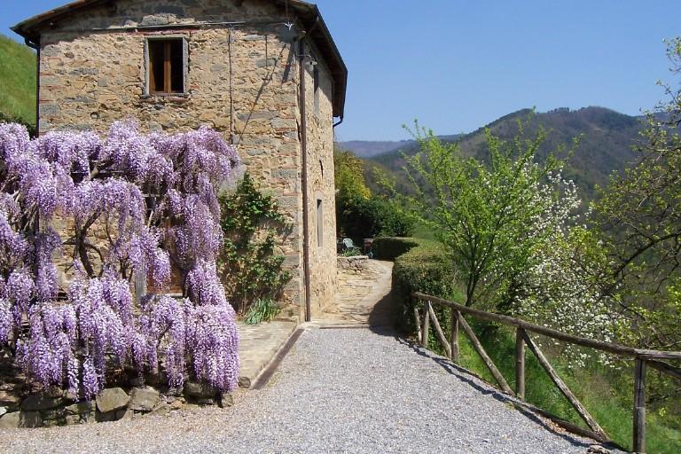 Fattoria Di Pietrabuona Apartamento Pescia Exterior foto